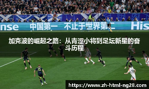 南宫NG28